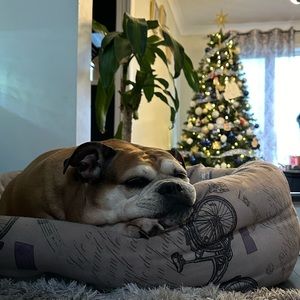 Meet your Posher, Moe